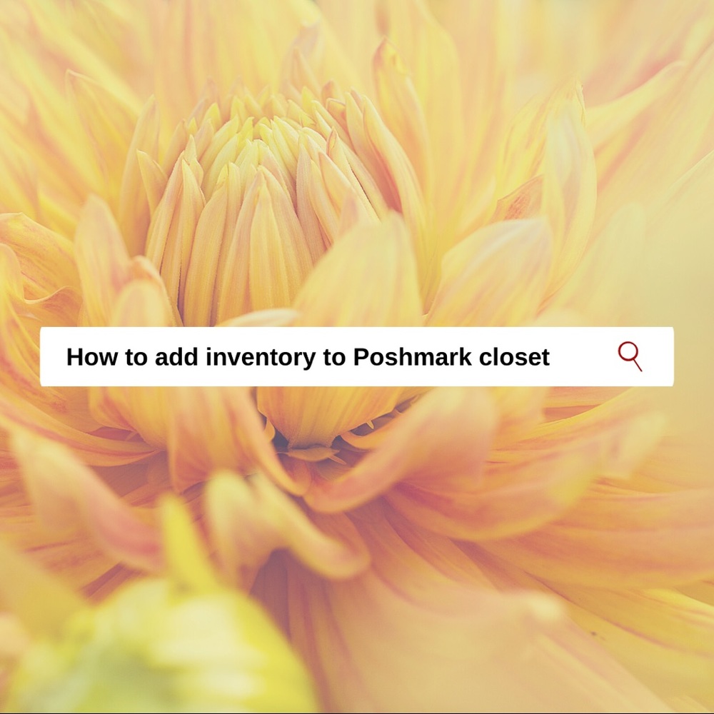 All (NWT) Mystery Reseller Box 🎁